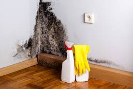 Mold Removal for HVAC Installations in Mio, MI